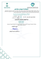 Redssen Brand Saudi Arabia Industrial Model Patent Certificate